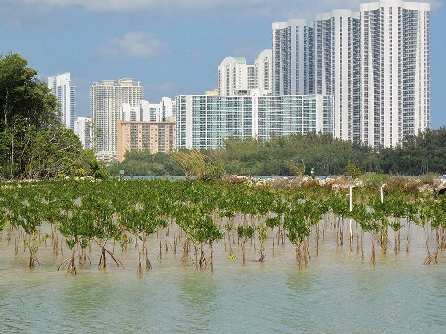 45. North Miami Beach, Florida