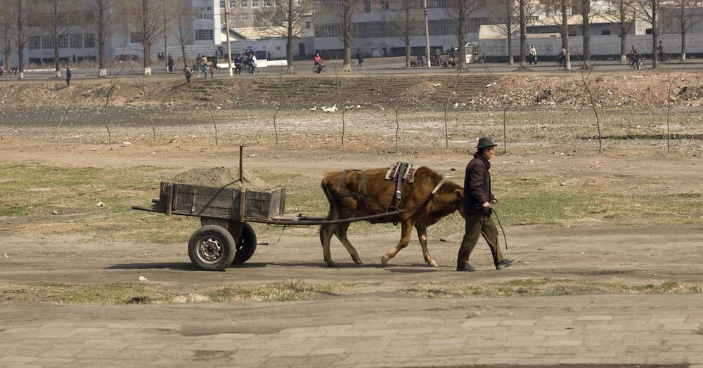 Rural Transportation