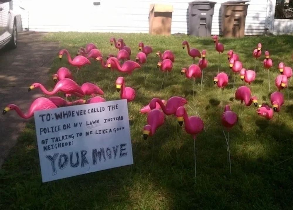 The Ever-Expanding Flamingo Flock