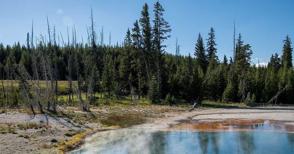 Is It Safe to Visit Yellowstone?